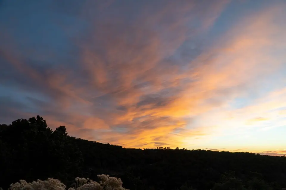Piñon hills north-west of Santa Fe at sunset